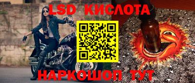 альфа пвп Заводоуковск